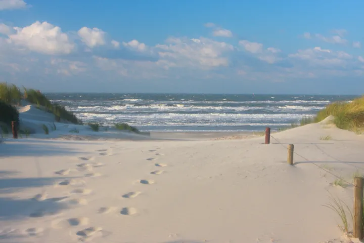 strand vanuit de duinen Terschelling.jpg